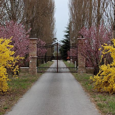 Agriturismo Corte Rocca Guest House San Giorgio di Mantova Exterior photo