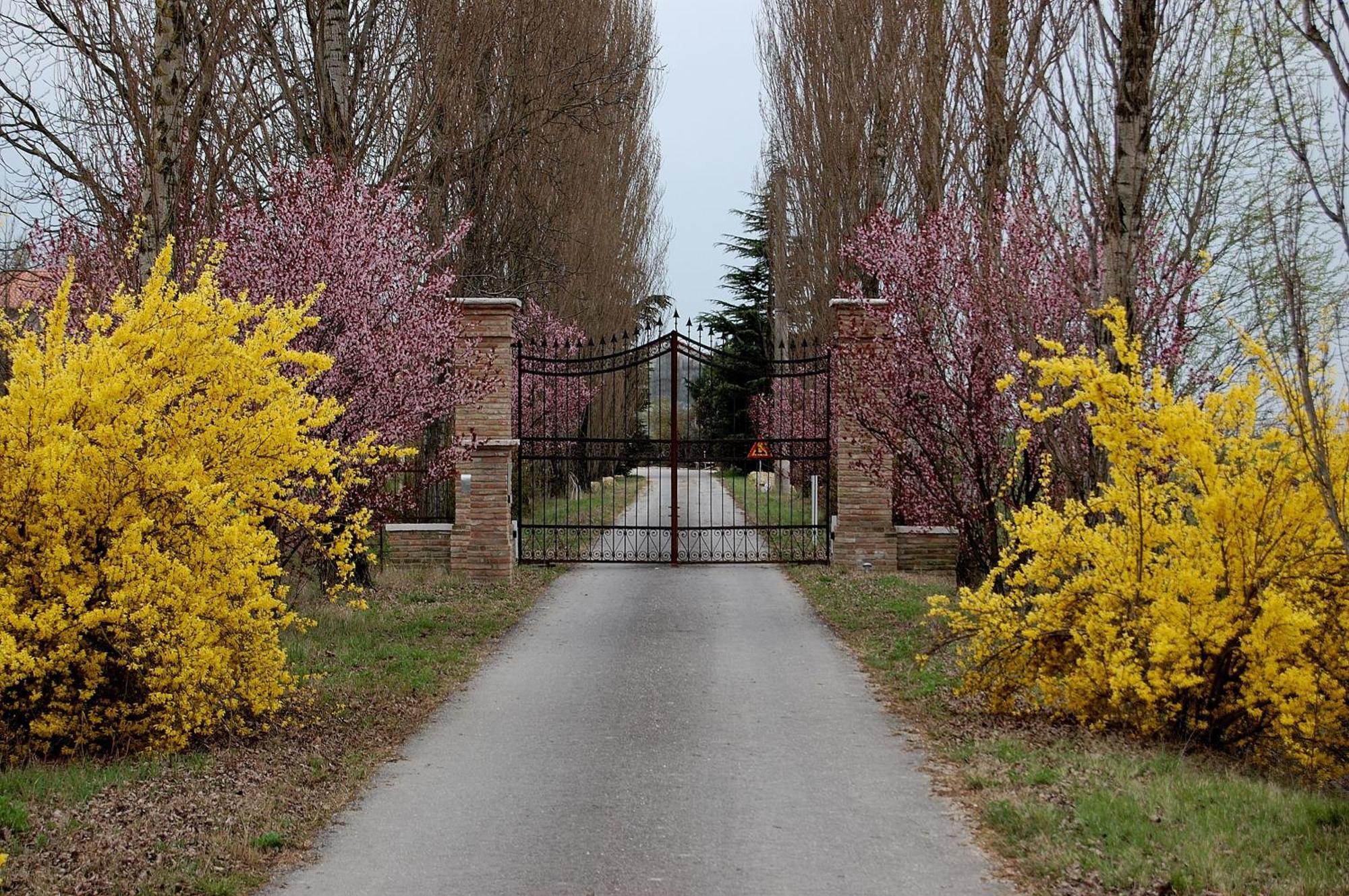 Agriturismo Corte Rocca Guest House San Giorgio di Mantova Exterior photo